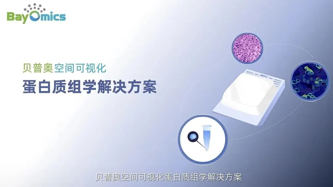 奥贝3.jpg
